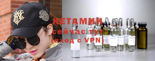 трава Новозыбков