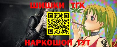 гидропоника Камышлов