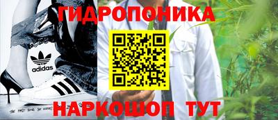 соль ск Кандалакша