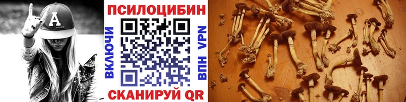 продажа наркотиков Ростов-на-Дону Галлюциногенные грибы мицелий