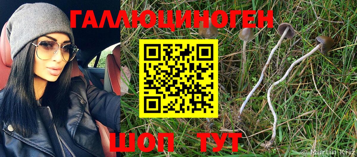 Псилоцибиновые грибы Cubensis  Ростов-на-Дону 