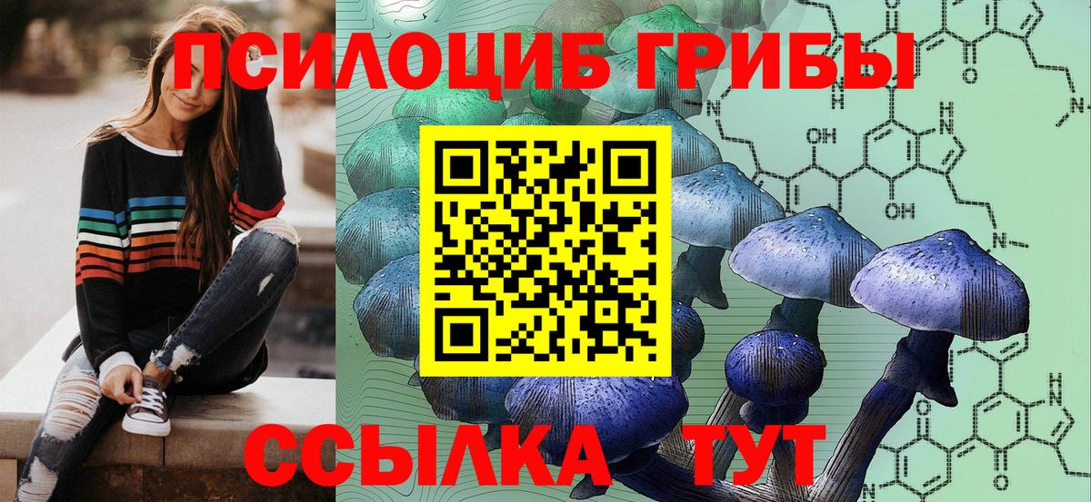 Псилоцибиновые грибы Cubensis Ростов-на-Дону