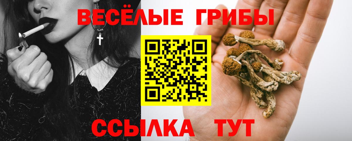 Псилоцибиновые грибы Magic Shrooms Ростов-на-Дону