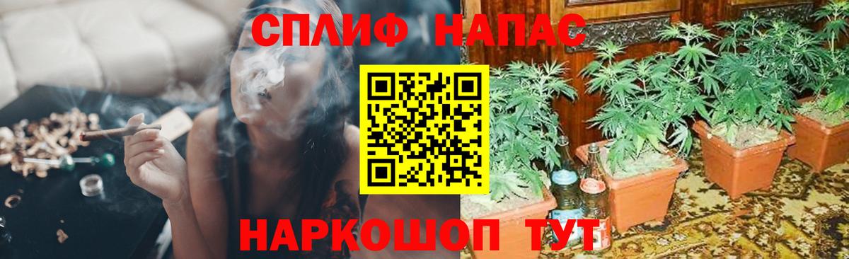 Бошки марихуана AK-47  Конопля Amnesia  Ростов-на-Дону  Вход с VPN  Каннабис MAZAR 